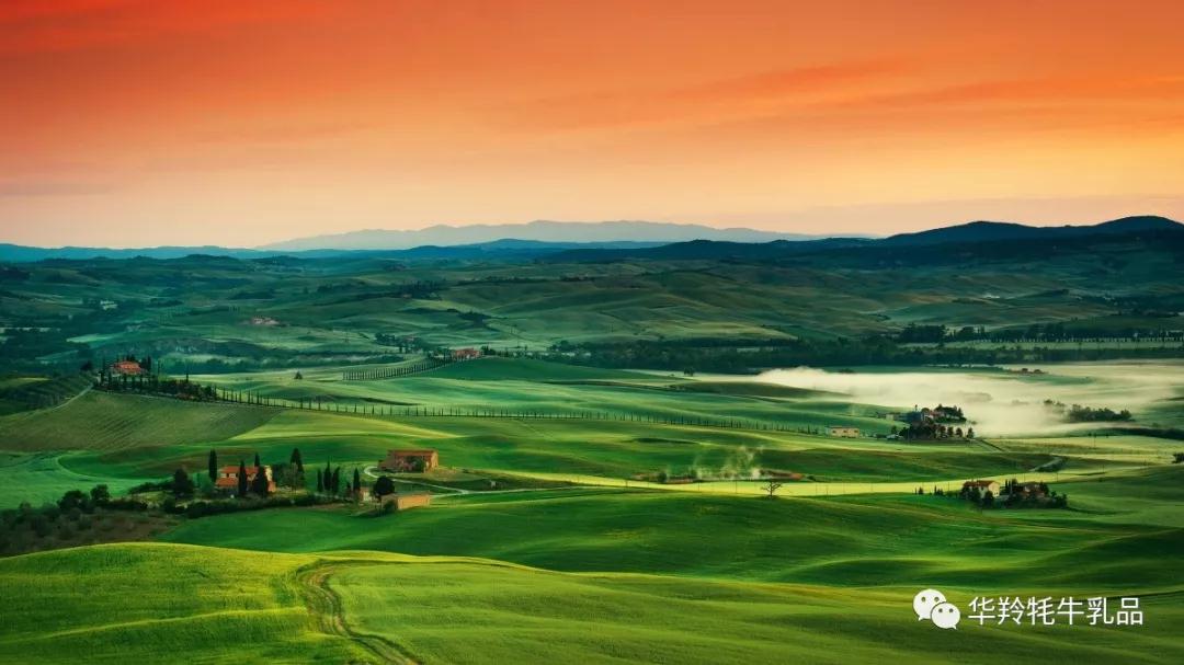 牦牛乳酥油茶试饮报告——出门必..