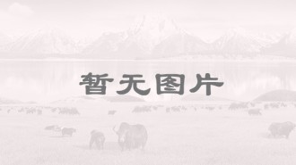 引领企业发展，创建“带动型”党建