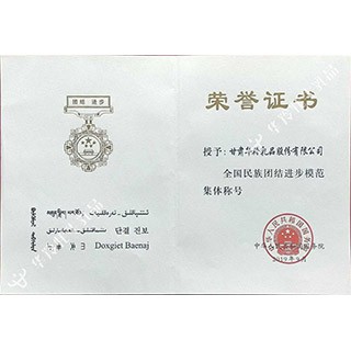 全国民族团结进步模范集体称号